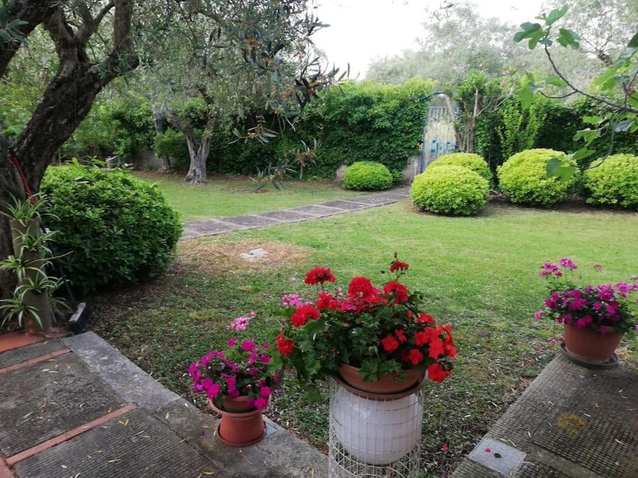 Villa Brezza Капаччио-Паэстум Экстерьер фото